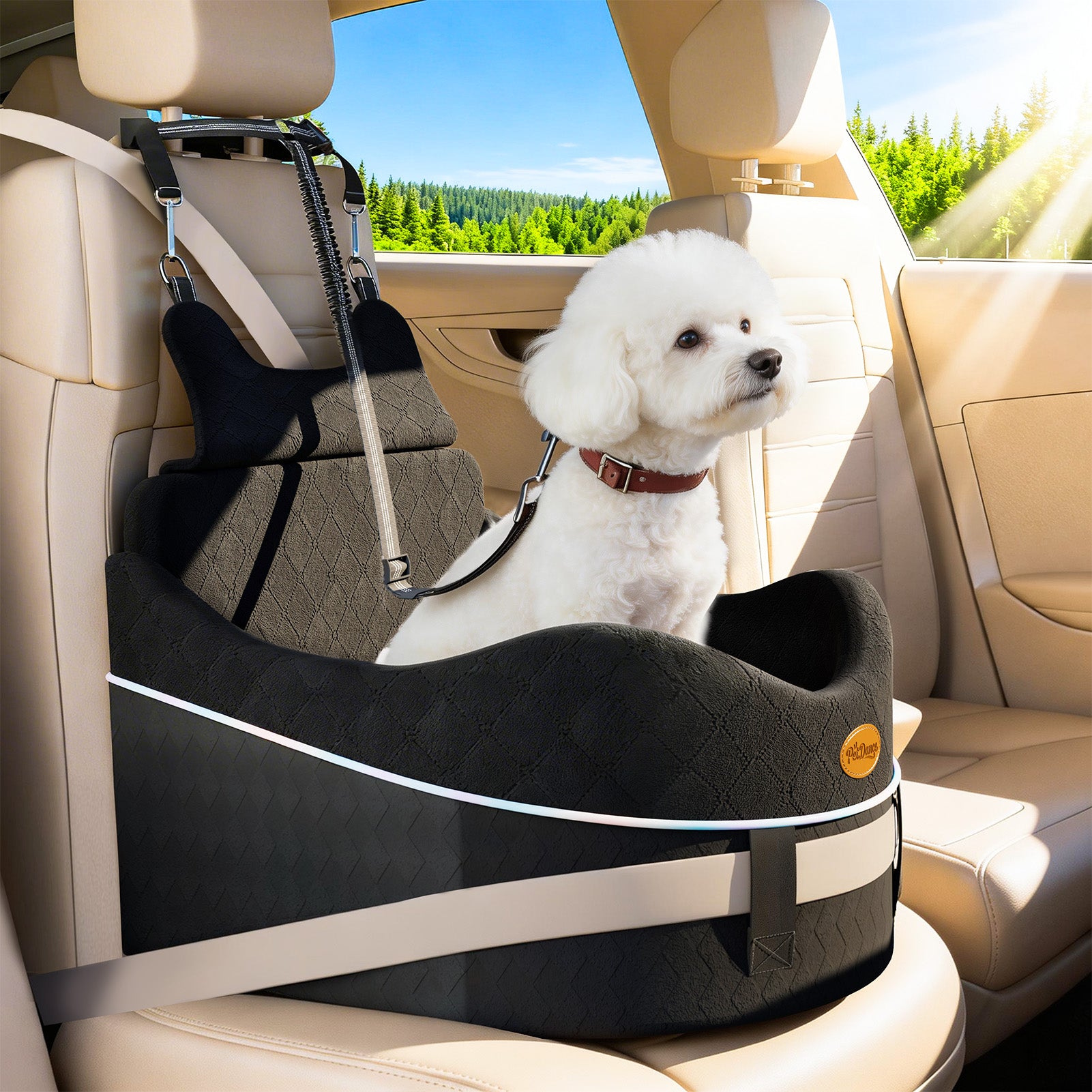 DB16 Dog Car Seat for Small Medium Dogs, Safety Design 3-Point Fixed Pet Travel Seat