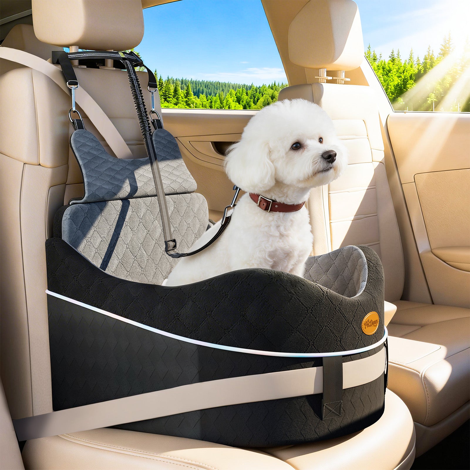 DB16 Dog Car Seat for Small Medium Dogs, Safety Design 3-Point Fixed Pet Travel Seat