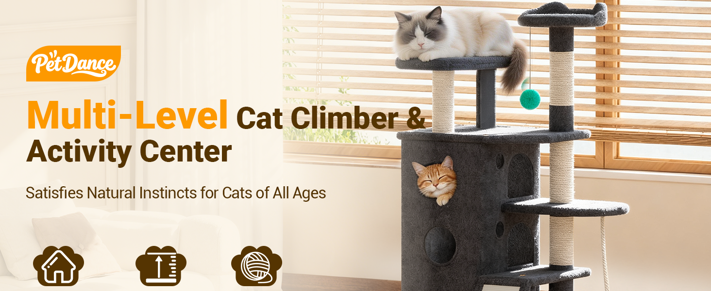 Cat climbing tree with two cats on a light background, featuring PetDance brand.
