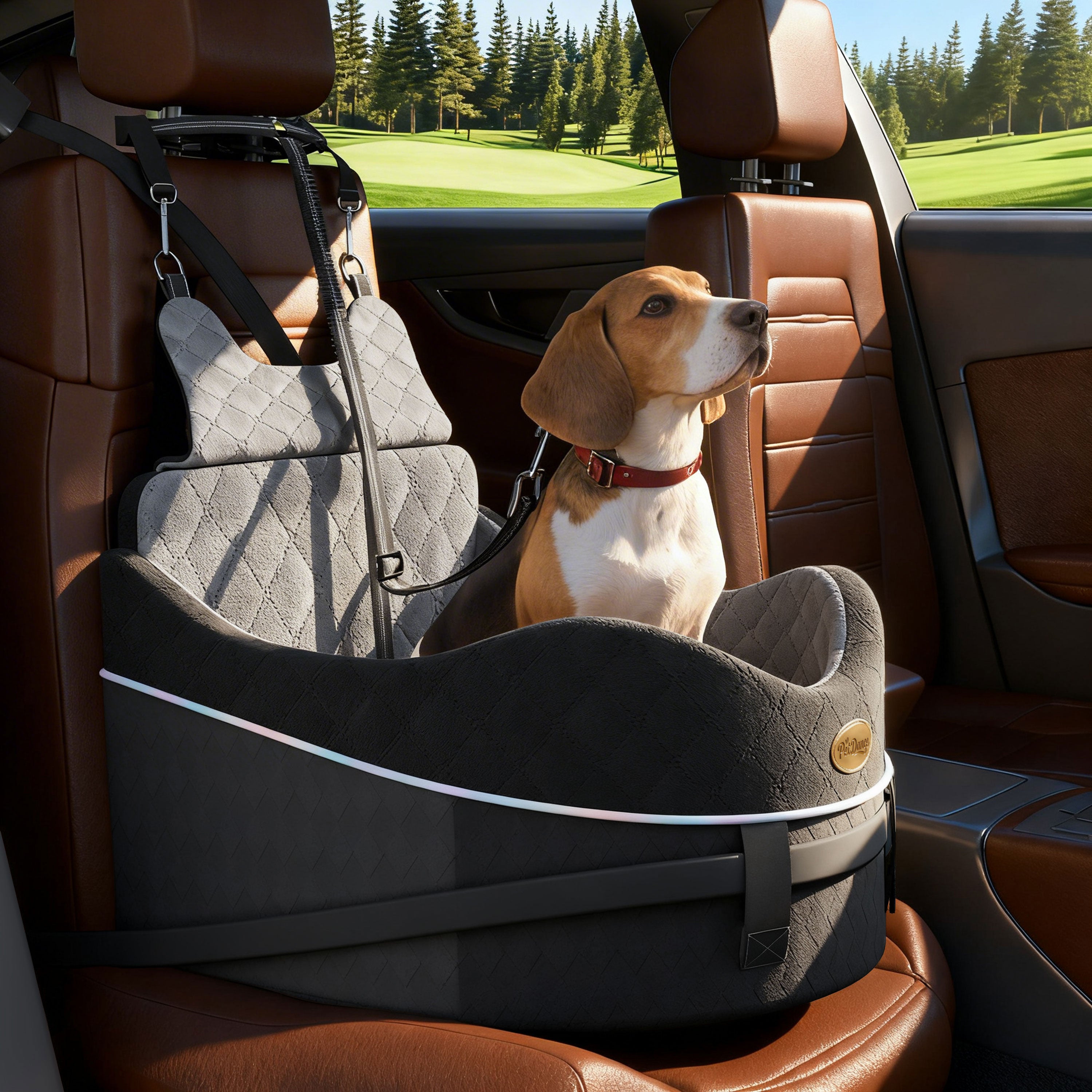 DB16 Dog Car Seat for Small Medium Dogs, Safety Design 3-Point Fixed Pet Travel Seat
