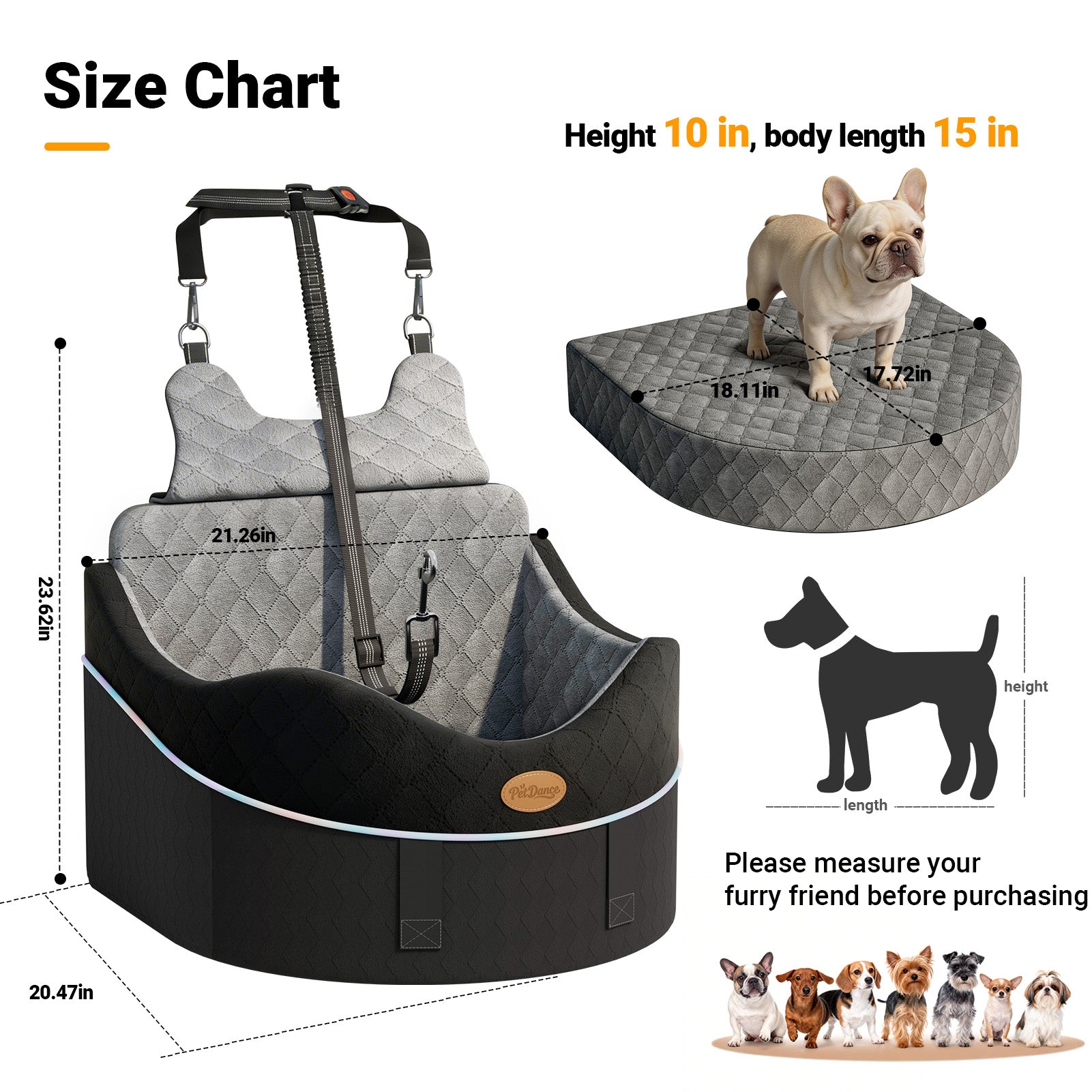 DB16 Dog Car Seat for Small Medium Dogs, Safety Design 3-Point Fixed Pet Travel Seat